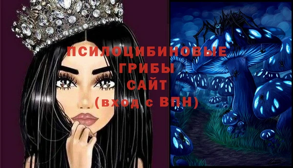 мет Аркадак
