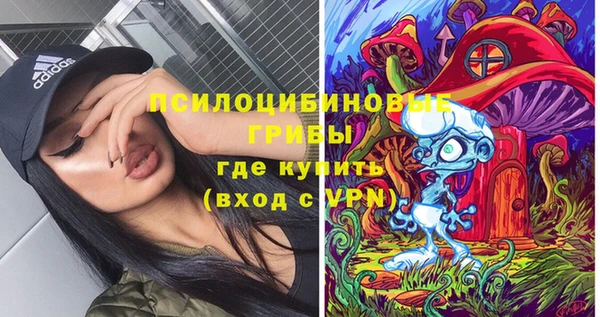 мет Аркадак